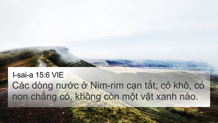 I-sai-a 15:6 VIE Bible Verse Image