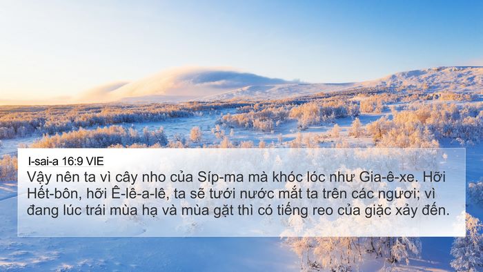 I-sai-a 16:9 VIE Bible Verse Image