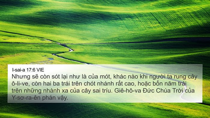 I-sai-a 17:6 VIE Bible Verse Image