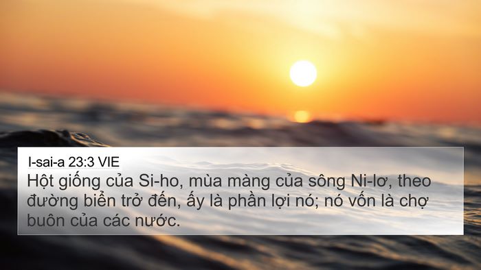 I-sai-a 23:3 VIE Bible Verse Image