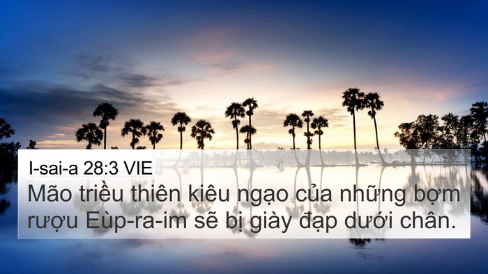I-sai-a 28:3 VIE Bible Verse Image