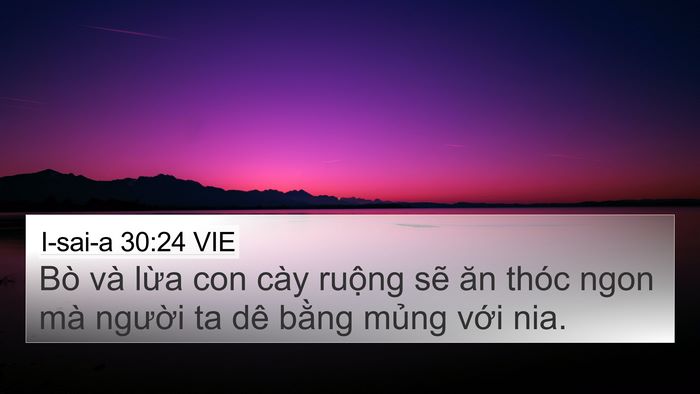 I-sai-a 30:24 VIE Bible Verse Image