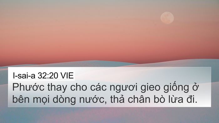 I-sai-a 32:20 VIE Bible Verse Image