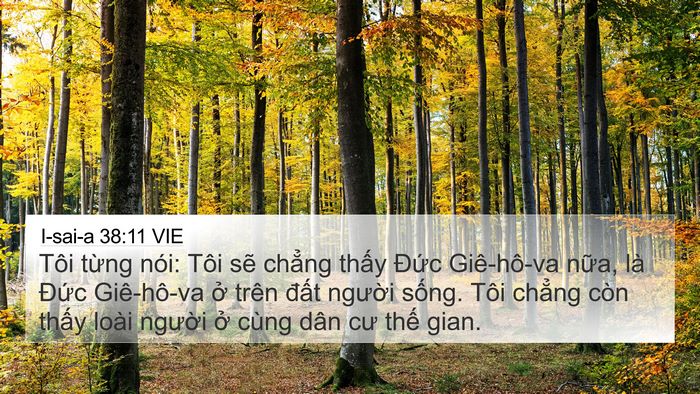 I-sai-a 38:11 VIE Bible Verse Image
