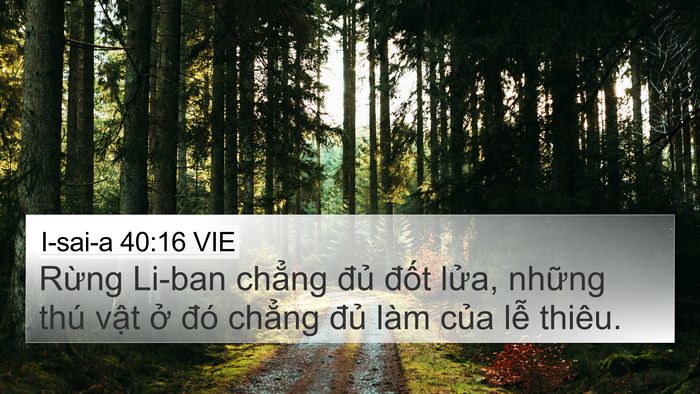 I-sai-a 40:16 VIE Bible Verse Image