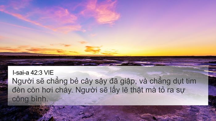 I-sai-a 42:3 VIE Bible Verse Image