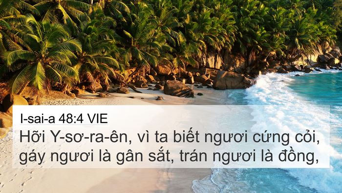 I-sai-a 48:4 VIE Bible Verse Image