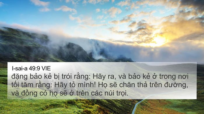 I-sai-a 49:9 VIE Bible Verse Image