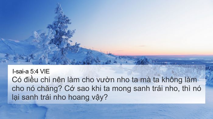 I-sai-a 5:4 VIE Bible Verse Image