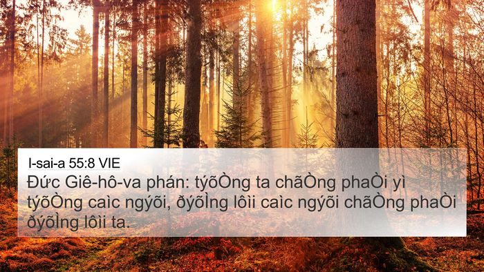 I-sai-a 55:8 VIE Bible Verse Image