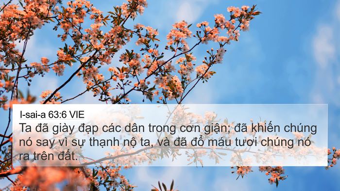 I-sai-a 63:6 VIE Bible Verse Image