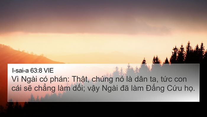 I-sai-a 63:8 VIE Bible Verse Image