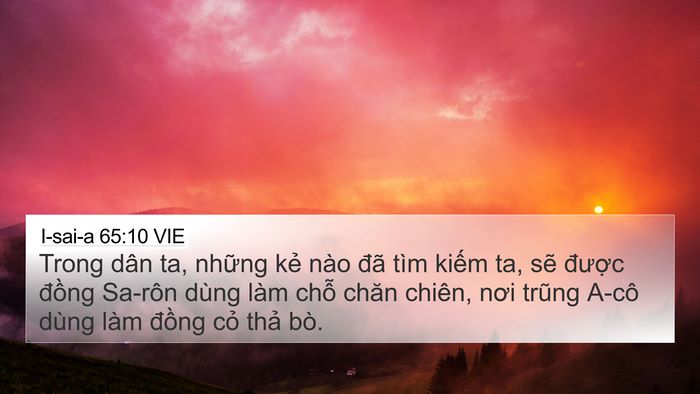 I-sai-a 65:10 VIE Bible Verse Image