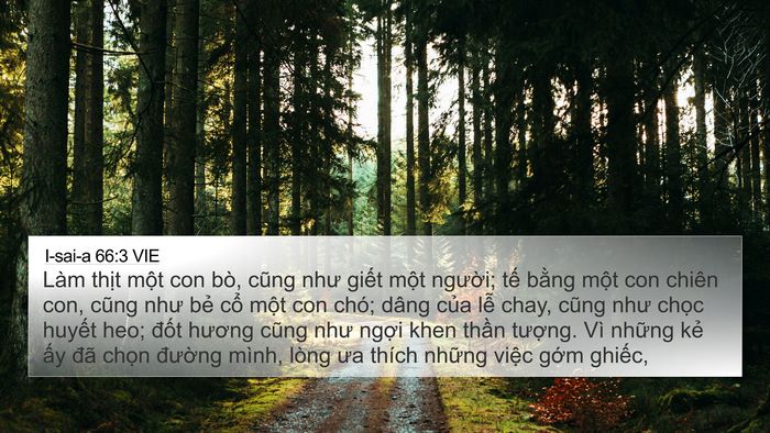 I-sai-a 66:3 VIE Bible Verse Image