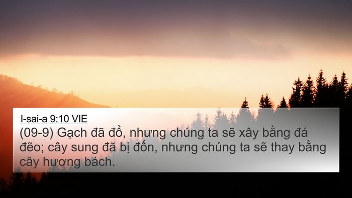 I-sai-a 9:10 VIE Bible Verse Image