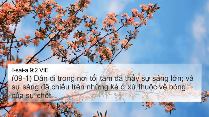 I-sai-a 9:2 VIE Bible Verse Image