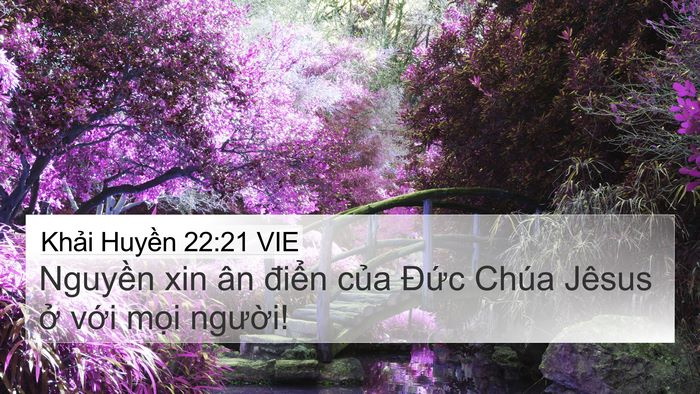 Khải Huyền 22:21 VIE Bible Verse Image