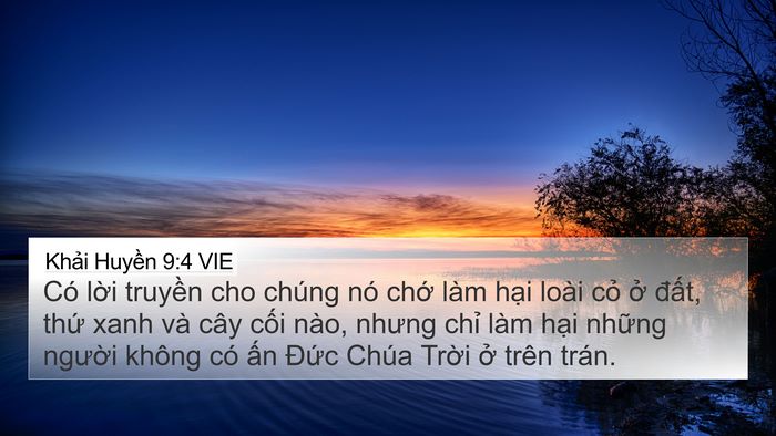 Khải Huyền 9:4 VIE Bible Verse Image