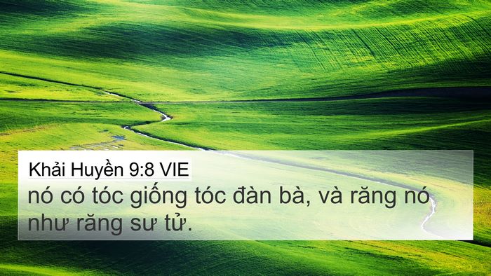Khải Huyền 9:8 VIE 4K Wallpaper - nó có tóc giống tóc đàn bà, và răng - 4K Wallpaper Bible Verse