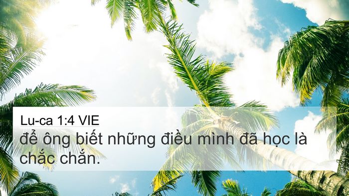 Lu-ca 1:4 VIE 4K Wallpaper - để ông biết những điều mình đã - 4K Wallpaper Bible Verse