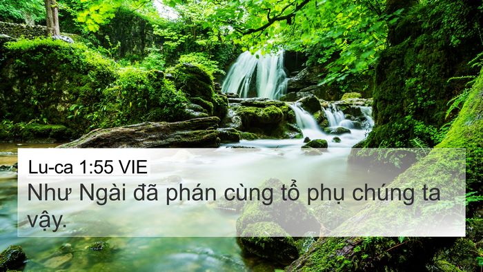 Lu-ca 1:55 VIE Bible Verse Image