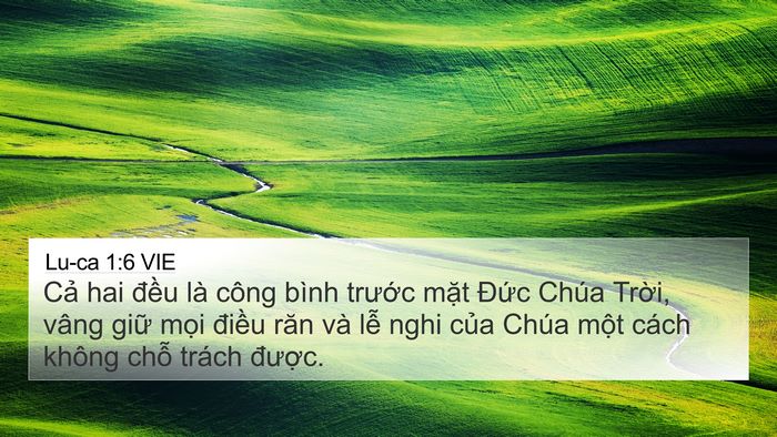 Lu-ca 1:6 VIE Bible Verse Image