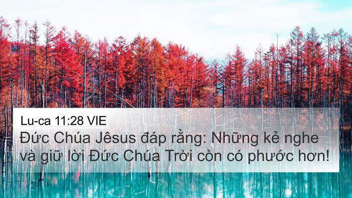 Lu-ca 11:28 VIE Bible Verse Image