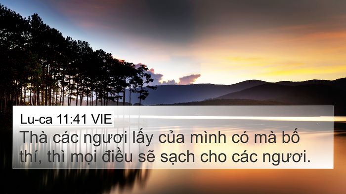 Lu-ca 11:41 VIE 4K Wallpaper - Thà các ngươi lấy của mình có mà bố - 4K Wallpaper Bible Verse