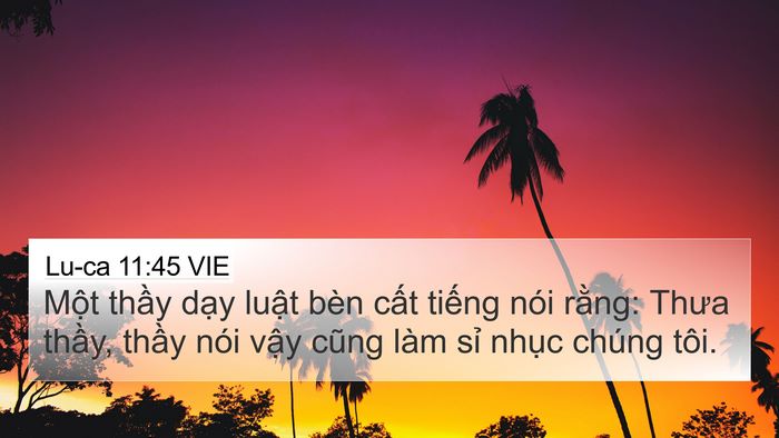 Lu-ca 11:45 VIE 4K Wallpaper - Một thầy dạy luật bèn cất tiếng nói - 4K Wallpaper Bible Verse