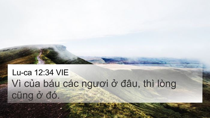 Lu-ca 12:34 VIE Bible Verse Image