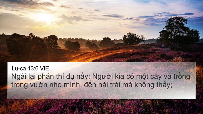 Lu-ca 13:6 VIE Bible Verse Image