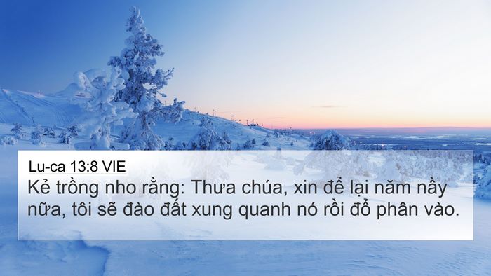 Lu-ca 13:8 VIE Bible Verse Image