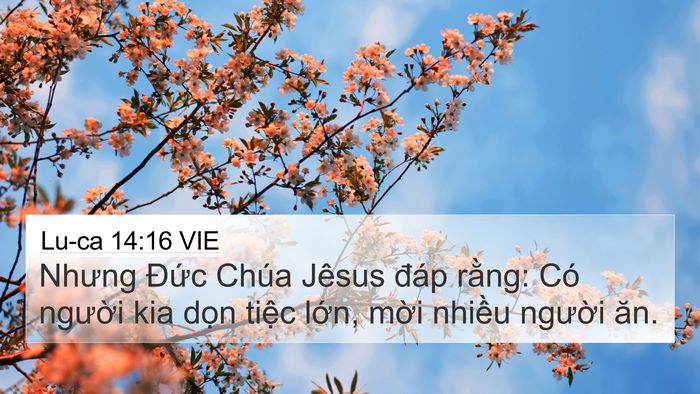 Lu-ca 14:16 VIE Bible Verse Image