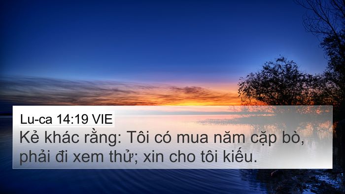 Lu-ca 14:19 VIE 4K Wallpaper - Kẻ khác rằng: Tôi có mua năm cặp bò, - 4K Wallpaper Bible Verse