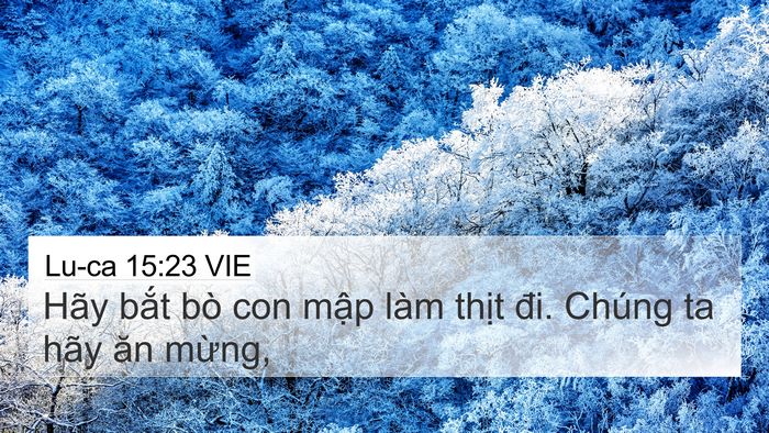 Lu-ca 15:23 VIE Bible Verse Image