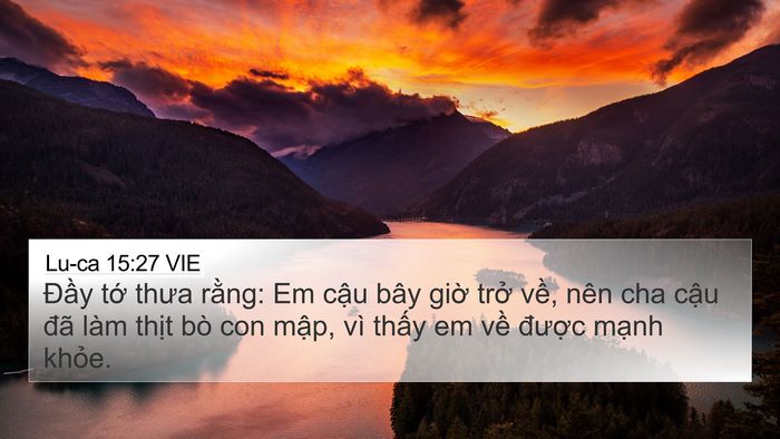 Lu-ca 15:27 VIE 4K Wallpaper - Đầy tớ thưa rằng: Em cậu bây giờ - 4K Wallpaper Bible Verse