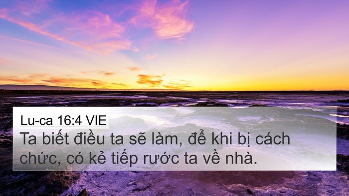 Lu-ca 16:4 VIE 4K Wallpaper - Ta biết điều ta sẽ làm, để khi bị - 4K Wallpaper Bible Verse