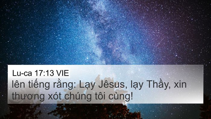 Lu-ca 17:13 VIE Bible Verse Image