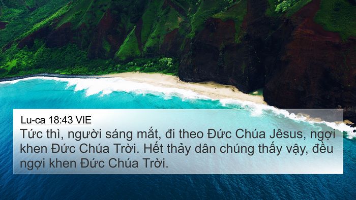 Lu-ca 18:43 VIE Bible Verse Image