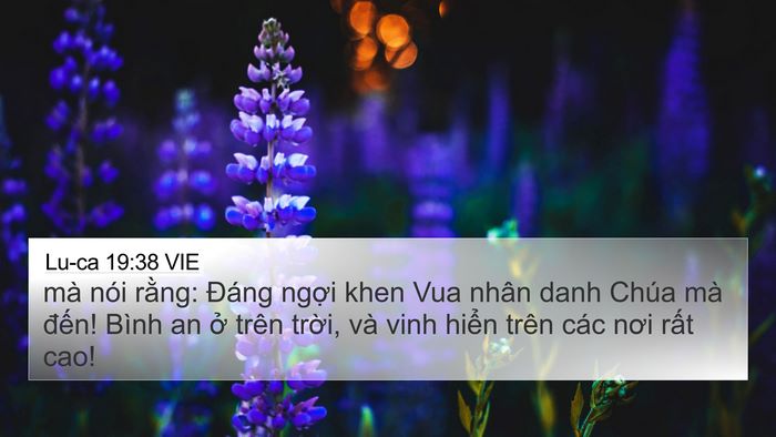 Lu-ca 19:38 VIE Bible Verse Image