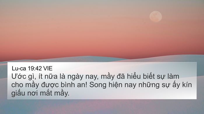 Lu-ca 19:42 VIE Bible Verse Image