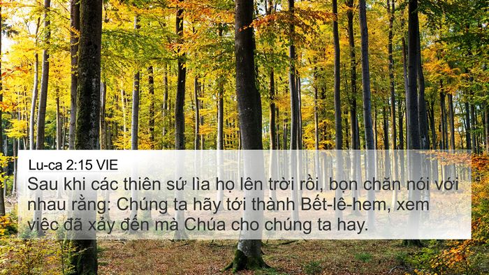 Lu-ca 2:15 VIE Bible Verse Image