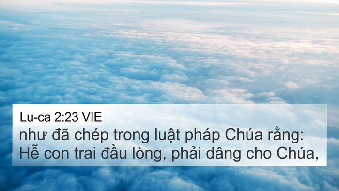 Lu-ca 2:23 VIE Bible Verse Image
