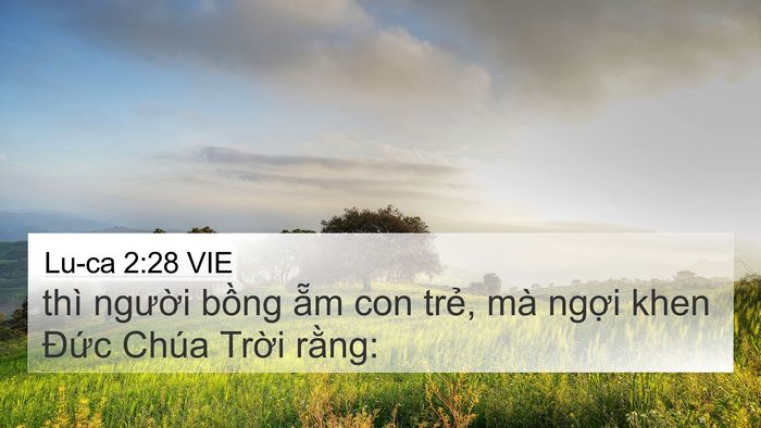 Lu-ca 2:28 VIE Bible Verse Image