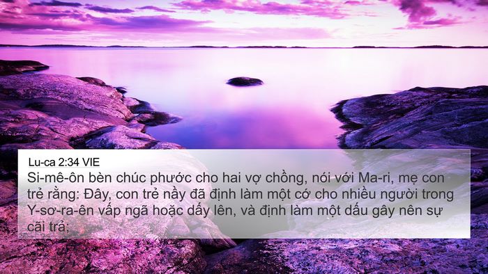Lu-ca 2:34 VIE Bible Verse Image