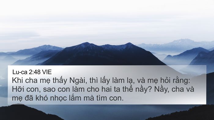 Lu-ca 2:48 VIE Bible Verse Image