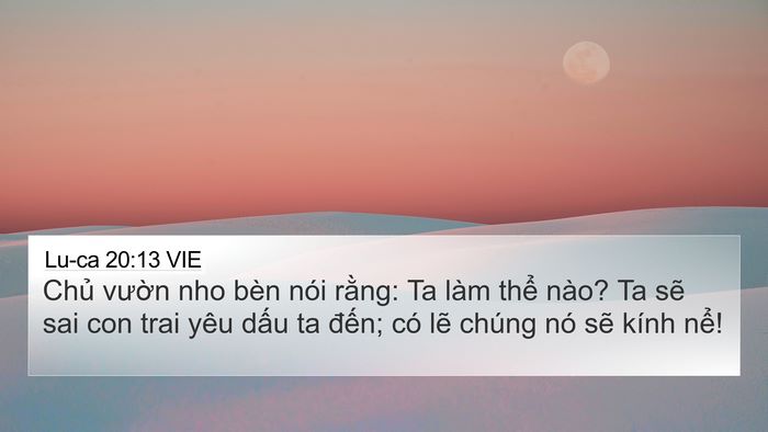 Lu-ca 20:13 VIE 4K Wallpaper - Chủ vườn nho bèn nói rằng: Ta làm thể - 4K Wallpaper Bible Verse