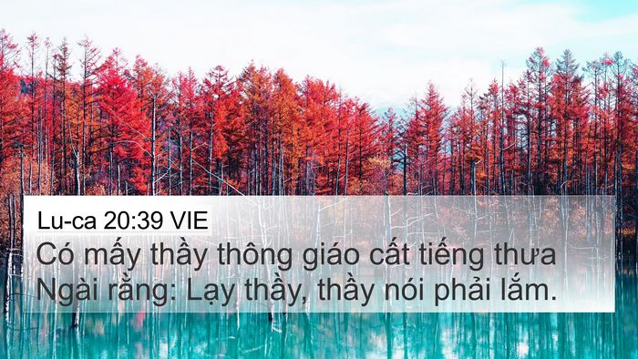 Lu-ca 20:39 VIE Bible Verse Image