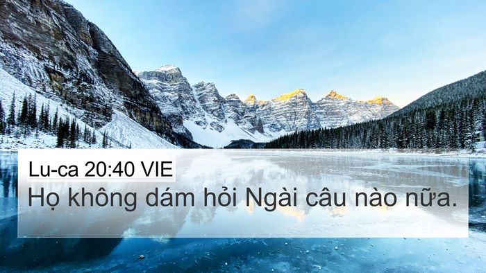 Lu-ca 20:40 VIE Bible Verse Image