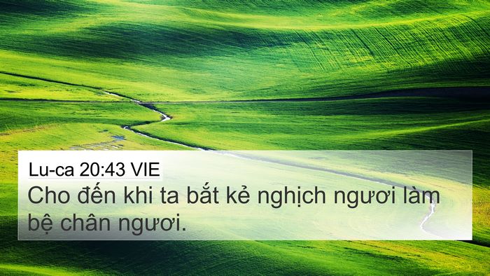 Lu-ca 20:43 VIE 4K Wallpaper - Cho đến khi ta bắt kẻ nghịch ngươi - 4K Wallpaper Bible Verse